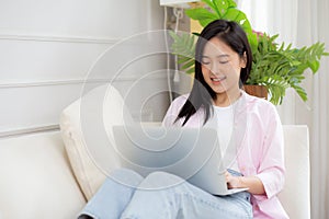 Young asian business woman work from home with laptop computer online to internet on sofa in living room.