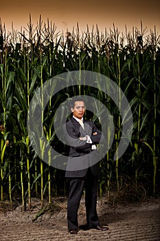 Young asian businessman in front of a corn field