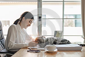 Young asian businesswoman working at home using laptop computer while caressing pet cat