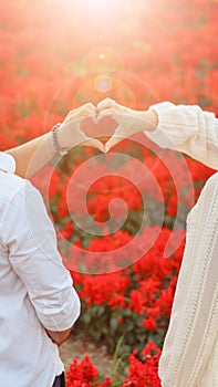 Young Asian couple stand in a bright red flower garden and put their hands together in heart to symbolize love, friendship and