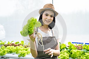 Young Asian female farmer working in vegetables hydroponic farm with happiness. Portrait of woman farmer checking quality of green