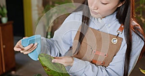 Young Asian Gardener Tenderly Caring for Indoor Plants in a Small Urban Flower Shop