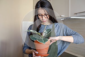 Young Asian girl holding a pot of ficus. Indoor plant. Conscious consumption