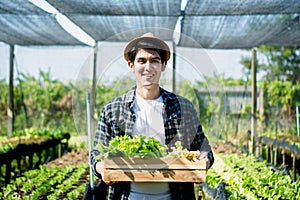 Young asian male farmer holding holding a wooden crate basket with full of fresh raw vegetables in garden greenhouse farm