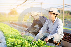 Young asian man farmer shovel dig fresh organic vegetable garden in the farm