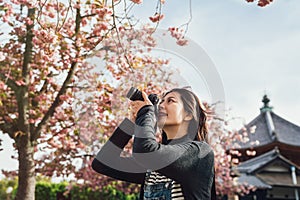 Young asian photographing pink sakura