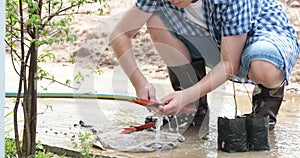 Young asian Thai boy prepare black soil to little plant on in the garden.