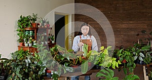 Young asian woman checks the condition of plants, for sale in her decorative plant shop. Gardener working in flower shop