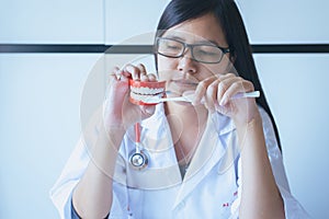 Young asian woman dentist diagnose plastic teeth models with toothbrush,Concept of dental checking,Selective focus denture