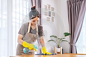 Young asian woman in gloves and apron polishing or wiping wooden table, detergent and chemical bottle for dust, bacteria and