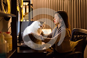 Young Asian woman holding pet cat while working from home