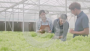 Young asian woman holding tablet computer and picking vegetables for talking recommend with customer.