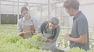 Young asian woman holding tablet computer and picking vegetables for talking recommend with customer.