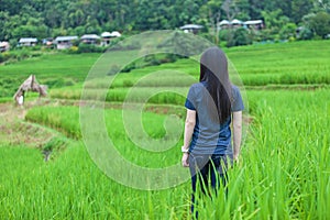 Young asian woman relaxing at green rice field on spring , Pa Pong Piang rice field on the mountains