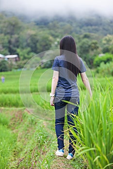 Young asian woman relaxing at green rice field on spring , Pa Pong Piang rice field on the mountains