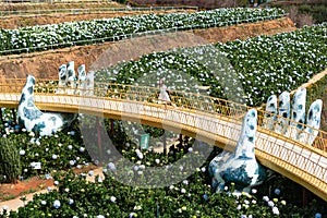 Young Asian woman traveler enjoying and walking in a hydrangea garden in Dalat, Vietnam, Travel concept