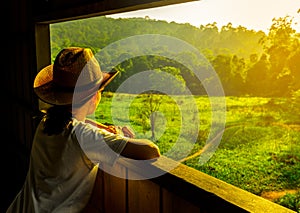 Young Asian woman wear the hat sit and watching beautiful view of green grass field and forest at wildlife observation tower