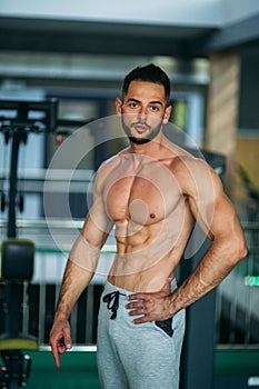 Young athlete posing with a torso for photography on a brick wall background. Bodybuilder, athlete with pumped muscles.