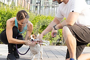 A young athletic couple walks outdoors the street with dog on a warm summer day. A smiling girl and guy sit squatting