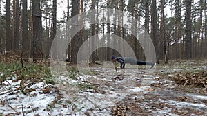 Young Athletic Man Performs Pushups in forest