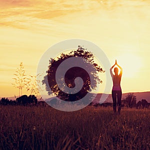 Young athletic woman practicing yoga on a meadow at sunset