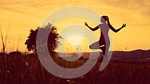 Young athletic woman practicing yoga on a meadow at sunset