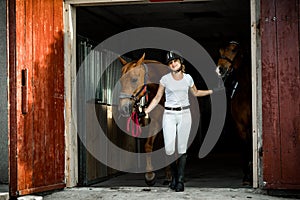 Young athletic woman in riding clothes takes two horses out for horse ride from stable.They`re all happy.Concept of proper
