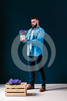 Young attractive bearded hipster man, dressed in denim shirt and blue pants, stands indoors, holding pot of flower and looking at
