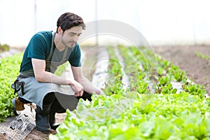 Young attractive farmer verify progress of culture