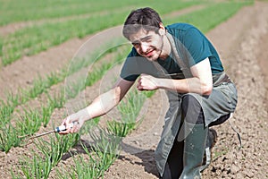 Young attractive farmer verify progress of culture