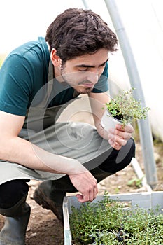 Young attractive farmer verify progress of culture