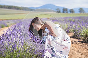 Young attractive female with a white dress is posing for the camera in the Lavanda field
