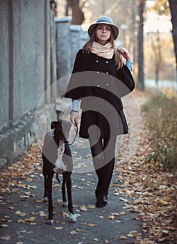 Young attractive girl dressed elegantly walks with the dog greyhound