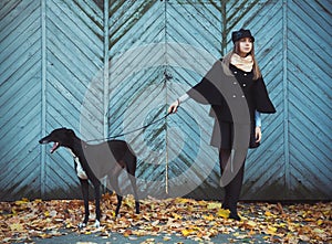 Young attractive girl dressed elegantly walks with the dog greyhound