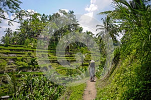 young attractive happy afro american black woman 30s exploring rice fields forest and jungle in Bali wearing asian hat