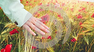 Young attractive woman dressed in white clothes is running through a poppies field feeling happy and free, Slow motion