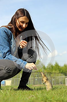 Young attractive woman feeding a hungry gopher bread.