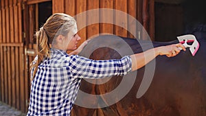 a young attractive woman grooming a horse in front of a stable