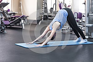 Young attractive woman practicing yoga, standing in Downward facing dog exercise