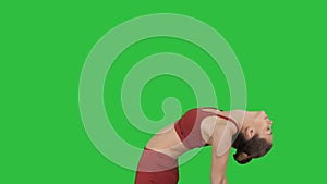 Young attractive woman practicing yoga, stretching in Ustrasana exercise, Camel pose on a Green Screen, Chroma Key.