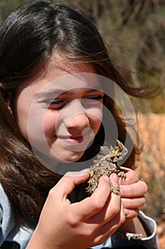 Young Australian girl holding a Thorny Devil