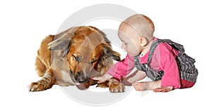 Young baby caressing a faithful pet dog