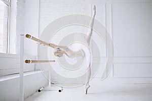 Young ballerina in ballet class