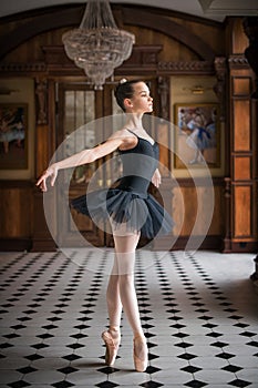 Young ballerina in a black long dress in a transparent chopin stands in a graceful pose