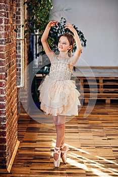 Young ballerina in tutu and pointe ballet shoes practicing dance moves in the dancing hall.