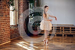 Young ballerina in tutu and pointe ballet shoes practicing dance moves in the dancing hall.