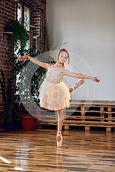 Young ballerina in tutu and pointe ballet shoes practicing dance moves in the dancing hall.