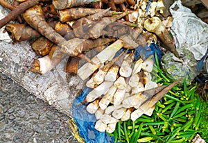 Young bamboo shoots (Usoi and soidon in Manipuri language) in Ima market Imphal Manipur state northeast india photo