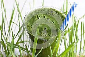 Young barley with fresh grass detox diet concept