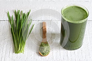 Young barley with fresh grass detox diet concept